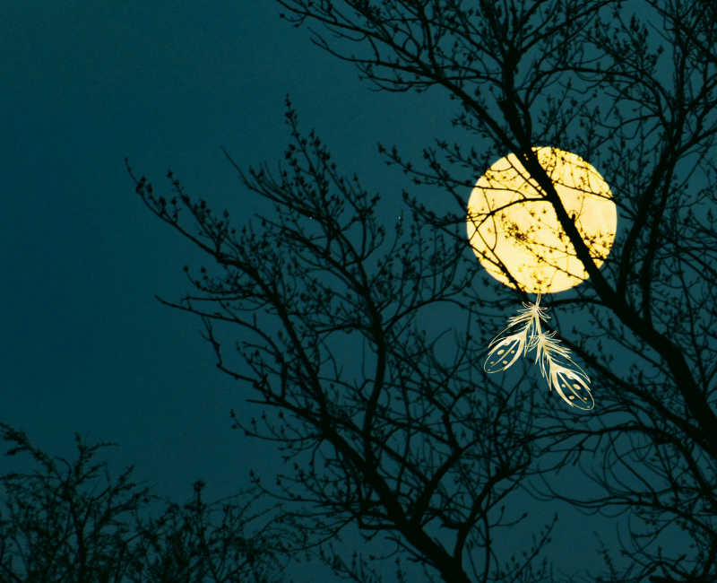 Illustration des spirituellen Namens Mondfeder, in der goldene Federn am Mond hängen