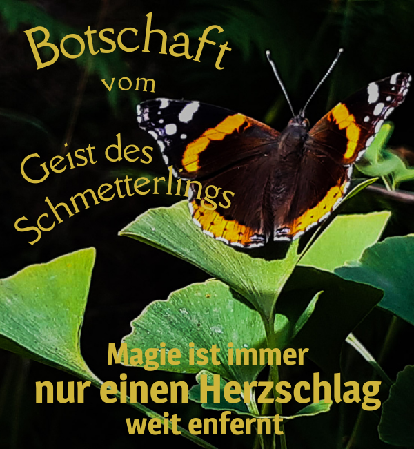 Blogbeitrag-Bild Botschaft vom Geist des Schmetterlings, Mondfeder-Blog der Schamanin des Wortes Stephanie Jans