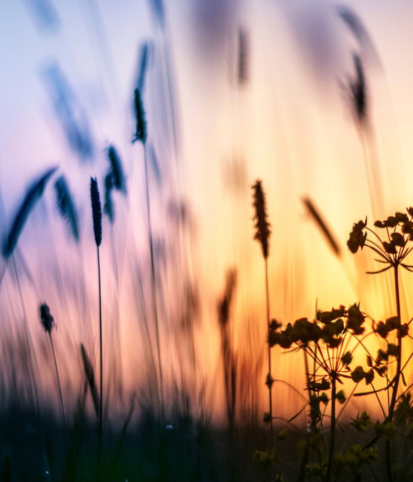 beispielhaftes Naturmotiv für eine moderne Trauerkarte