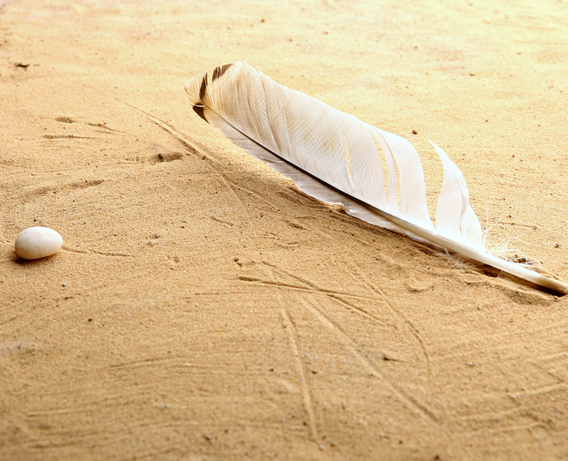 braunweiße Feder liegt am Sandstrand