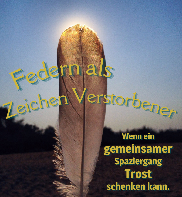 Federn als Zeichen Verstorbener – wenn ein gemeinsamer Spaziergang Trost schenken kann