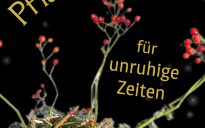 Pflanzengeister für unruhige Zeiten – was Schafgarbe, Hagebutte und Beifuß uns lehren