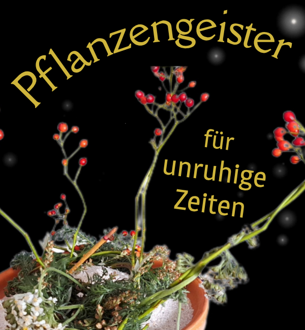 Pflanzengeister für unruhige Zeiten – was Schafgarbe, Hagebutte und Beifuß uns lehren